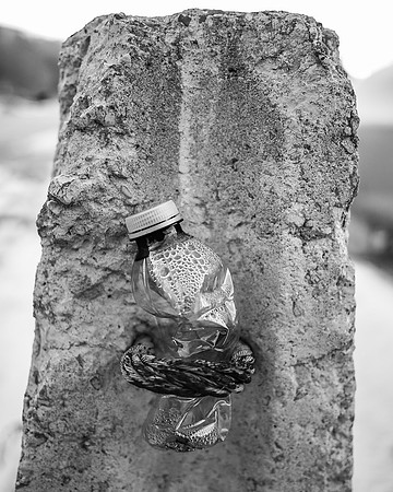 P3271359-Edit
