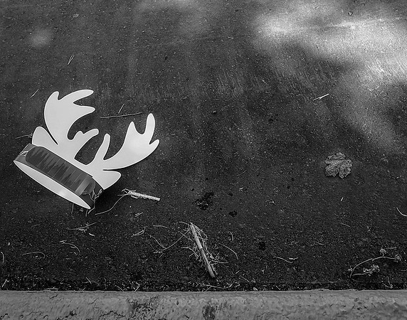 StillLife copy