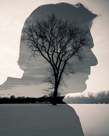 Rooted