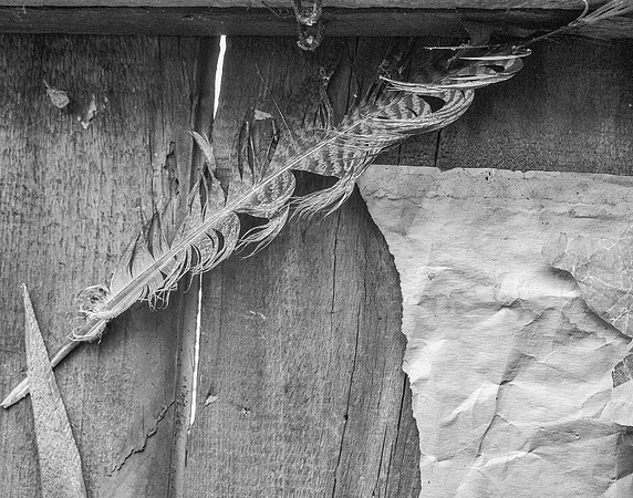 P3261135-Edit