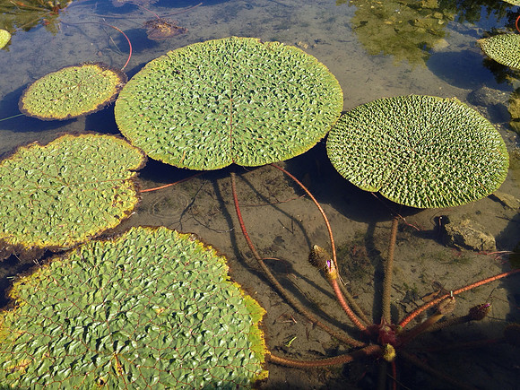 IMG_3727